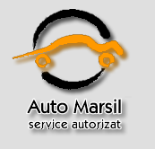 automarsil